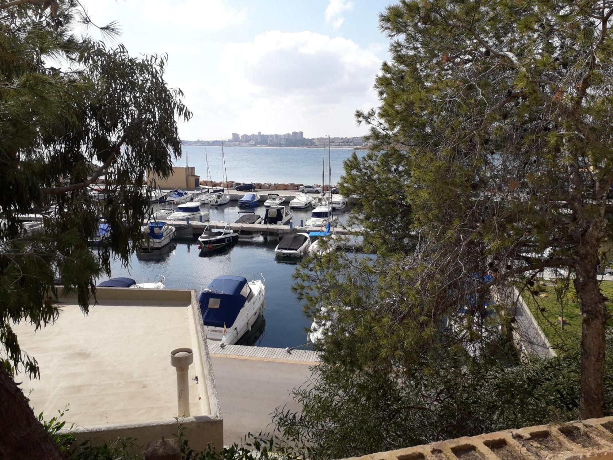 Billarose Villa Cabo Roig Dış mekan fotoğraf